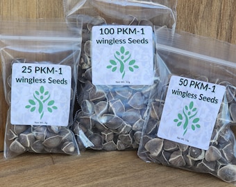 ODC3 Moringa Seeds