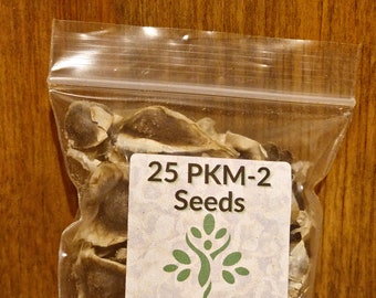 PKM-2 Moringa Seeds (Heirloom)